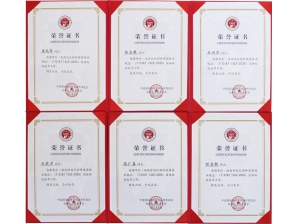 <b>磁致伸縮位移傳感器標(biāo)準(zhǔn)起草榮譽(yù)證書</b>